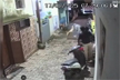 Video: Stray dog bites elderly man on face, locals say he’s victim no. 14